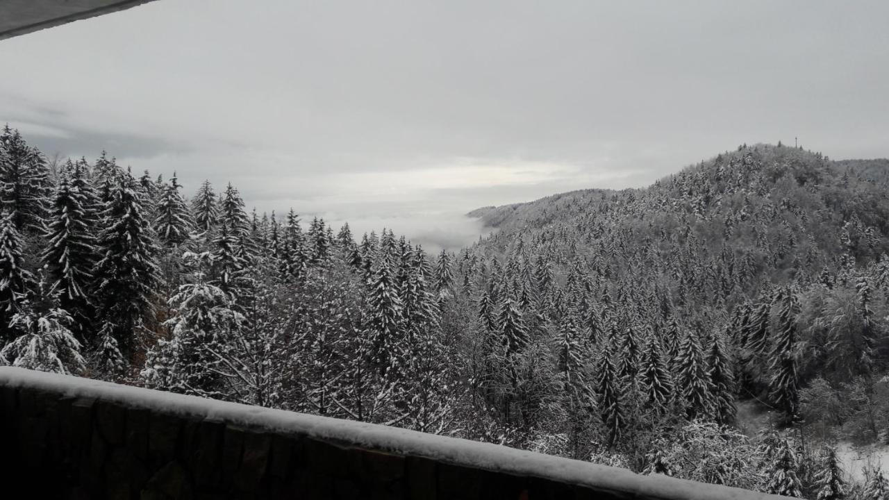 House Jaro & Camp Jaro Konuk evi Velenje Dış mekan fotoğraf